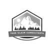 teakautoclaimsfargo.com